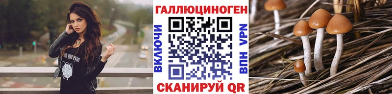 Галлюциногенные грибы Cubensis  Купить закладки  Соликамск 
